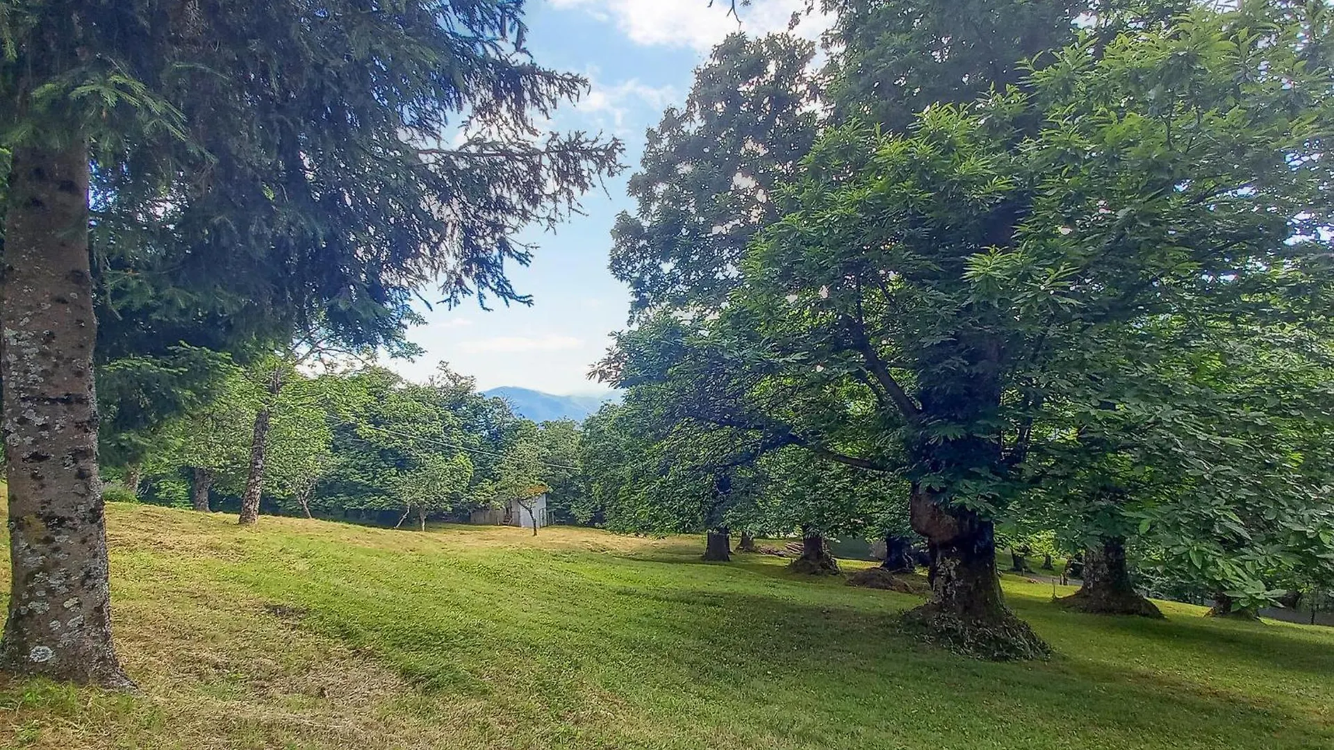 Stunning Home In Barga With Kitchen